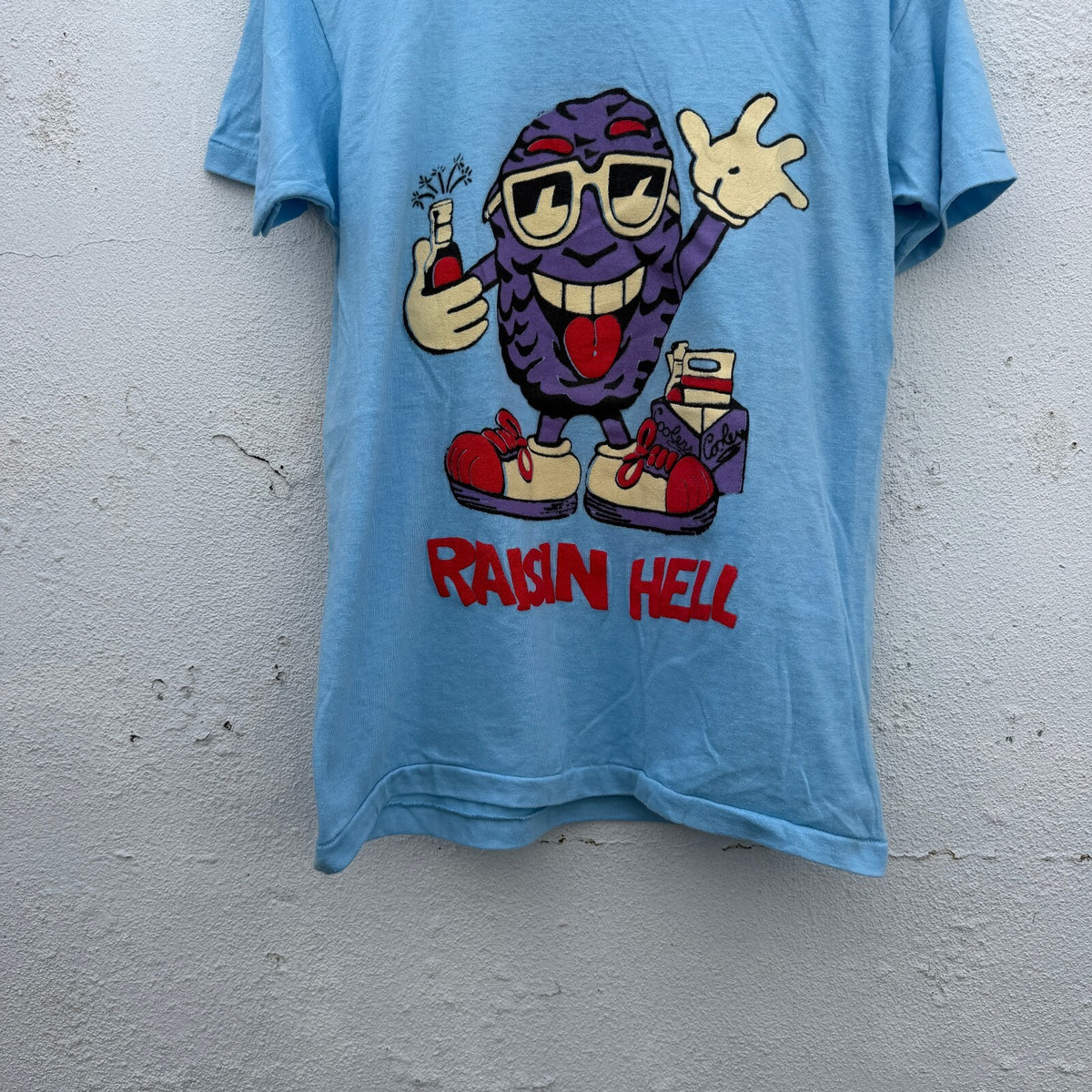 90s Raisin Hell Deadstock Parody Graphic Print Tshirt