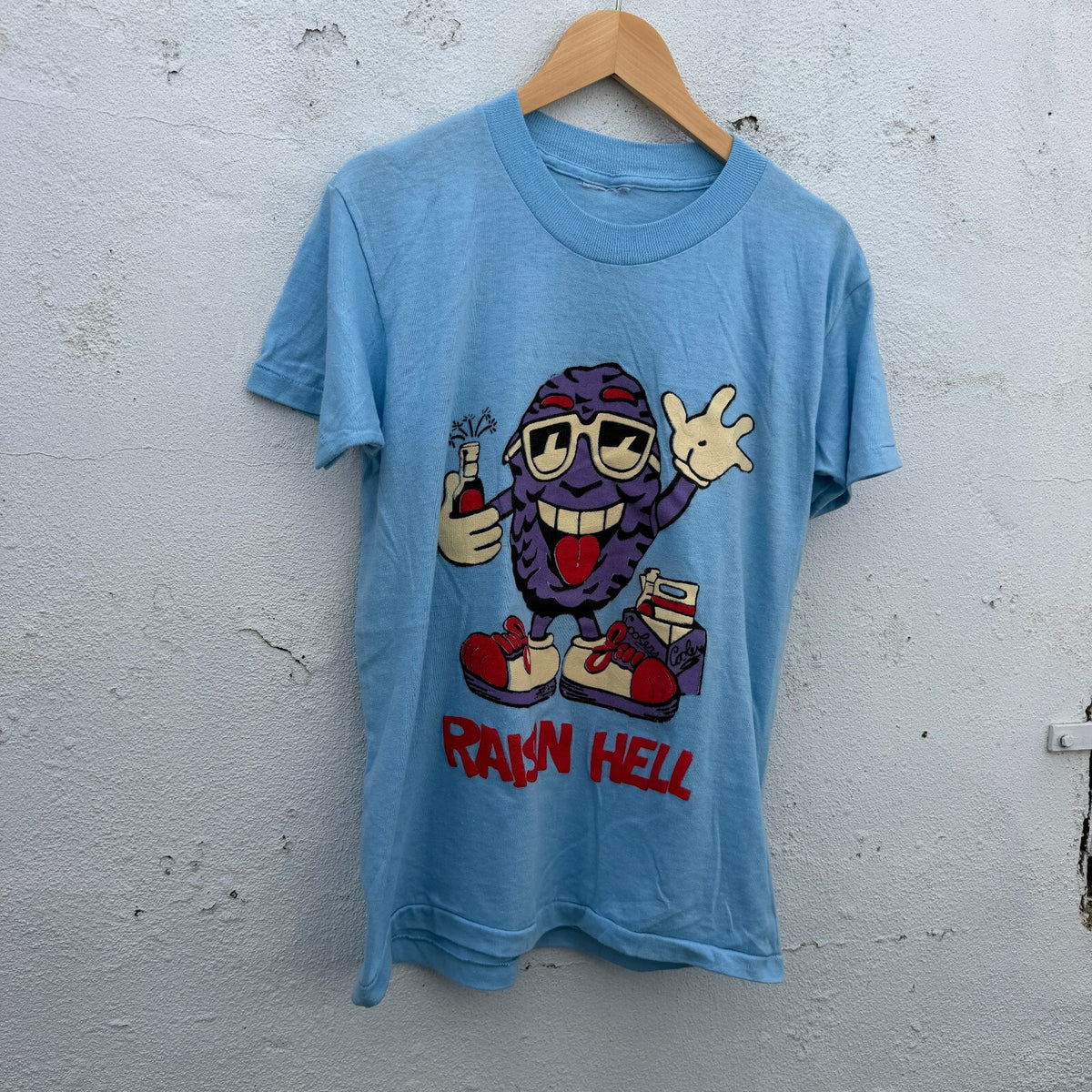 90s Raisin Hell Deadstock Parody Graphic Print Tshirt